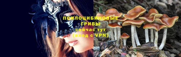 ALPHA-PVP Болхов