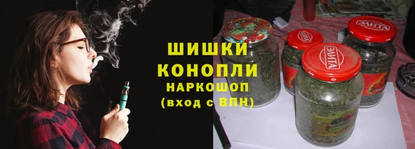 крисы Осинники